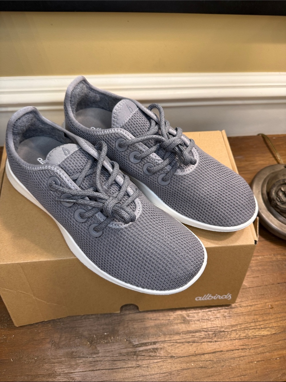 Allbirds Tree Runner in Mist and White NIB